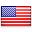 Flag of the US